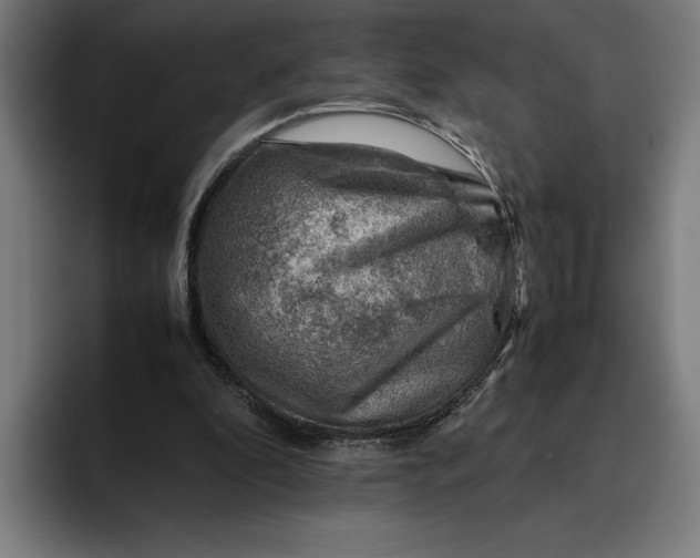 X0000094800296200712071211