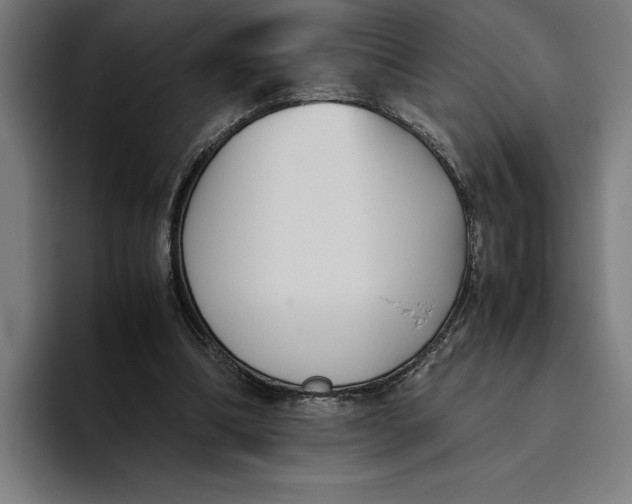 X0000094800298200712071211