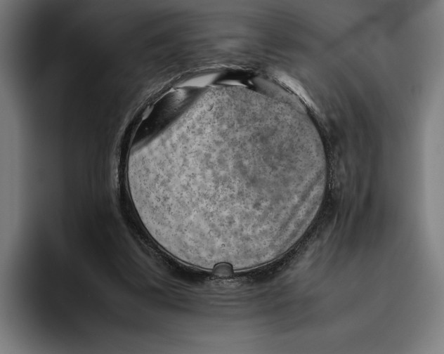 X0000094800299200712071211