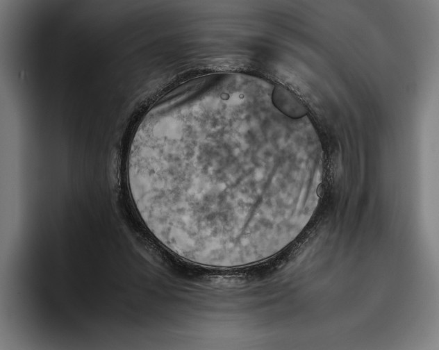 X0000094800303200712071211