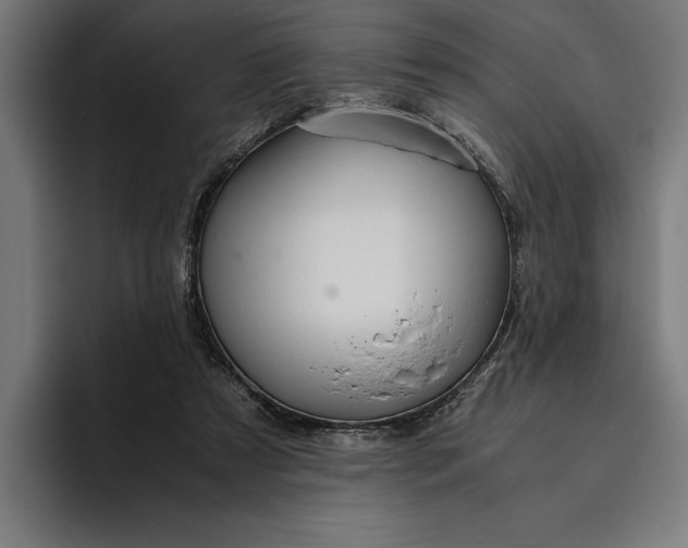 X0000094800305200712071211