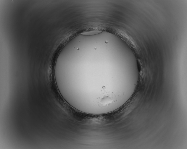 X0000094800306200712071211