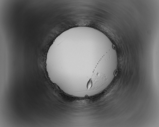 X0000094800307200712071211