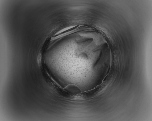 X0000094800308200712071211