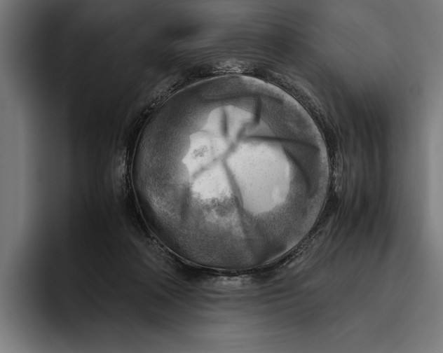 X0000094800314200712071210