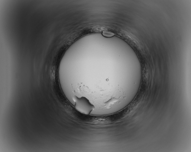 X0000094800315200712071210