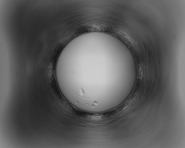 X0000094800318200712071210