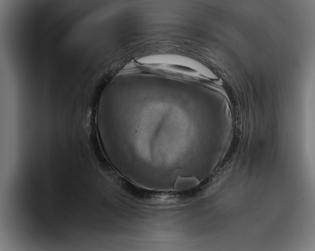 X0000094800319200712071210