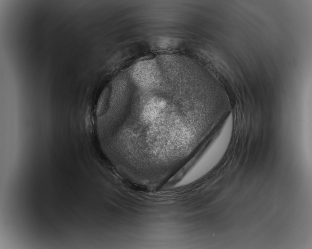 X0000094800324200712071210