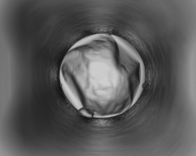 X0000094800326200712071210