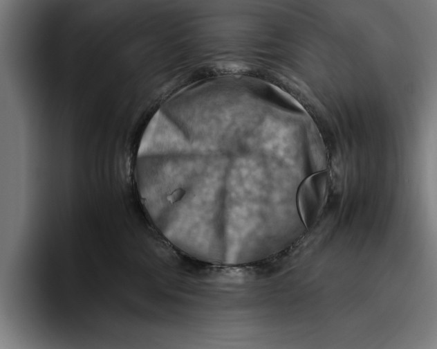 X0000094800330200712071210