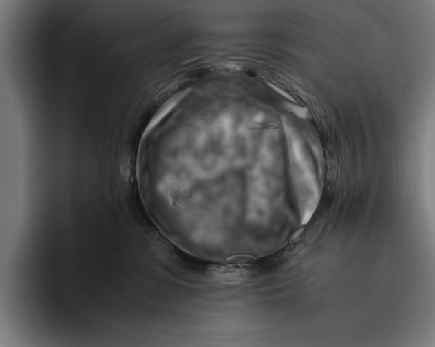 X0000094800331200712071210