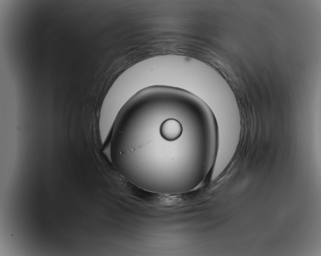 X0000094800333200712071210