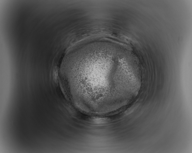 X0000094800336200712071210