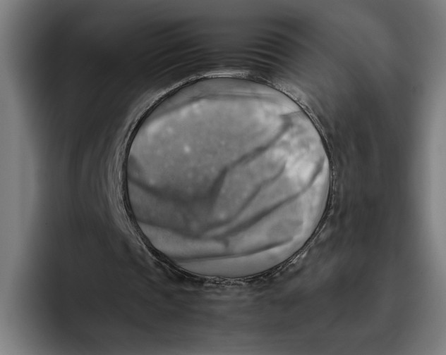 X0000094800337200712071210