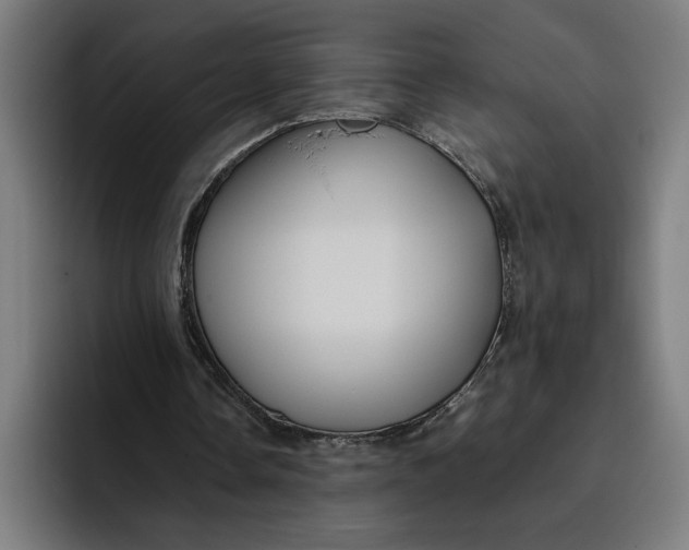 X0000094800338200712071210