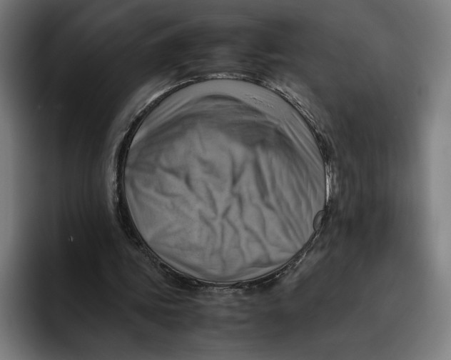 X0000094800339200712071210