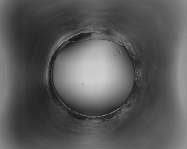 X0000094800340200712071210