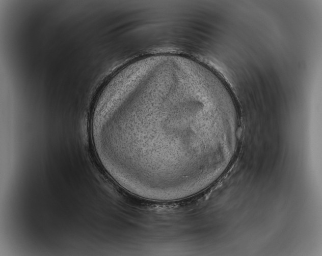 X0000094800345200712071210