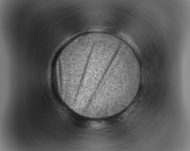 X0000094800346200712071210