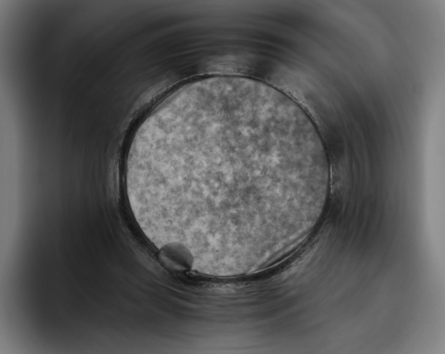 X0000094800349200712071210