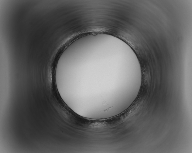 X0000094800350200712071210