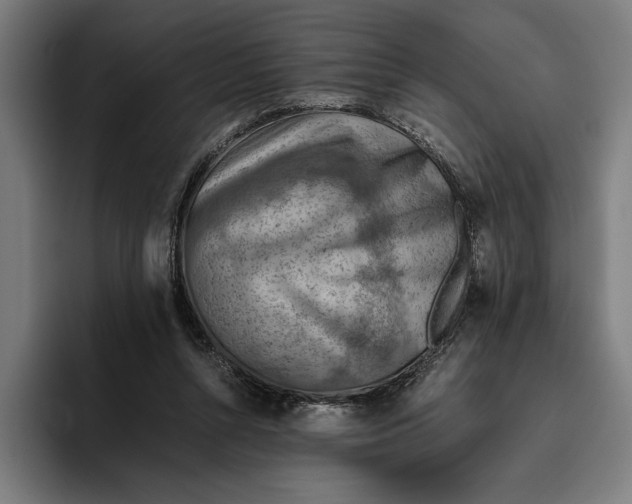 X0000094800352200712071210