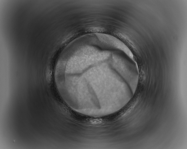 X0000094800355200712071210