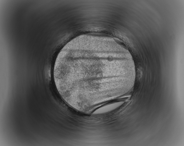 X0000094800358200712071210