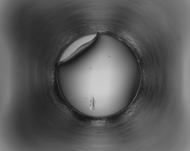 X0000094800362200712071210