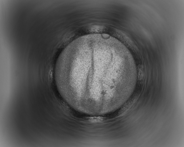 X0000094800363200712071210