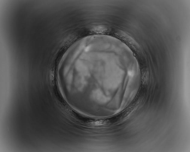 X0000094800365200712071210