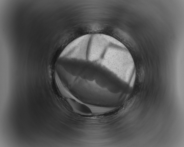 X0000094800366200712071210