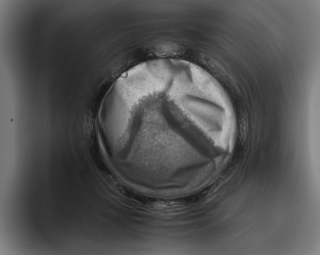 X0000094800367200712071210