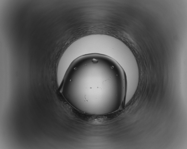 X0000094800368200712071210