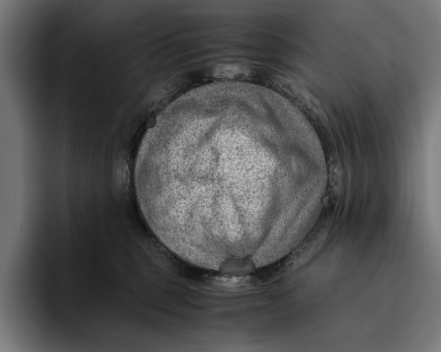 X0000094800375200712071210