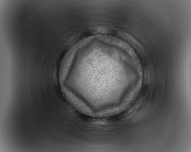 X0000094800377200712071210