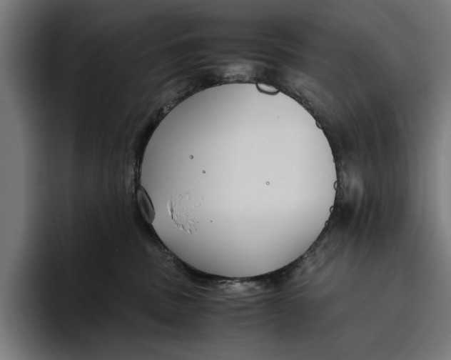 X0000094800379200712071210