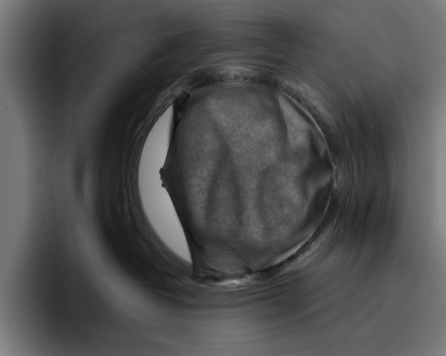 X0000094800382200712071210