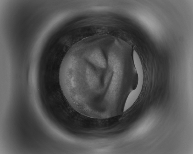 X0000094800383200712071210