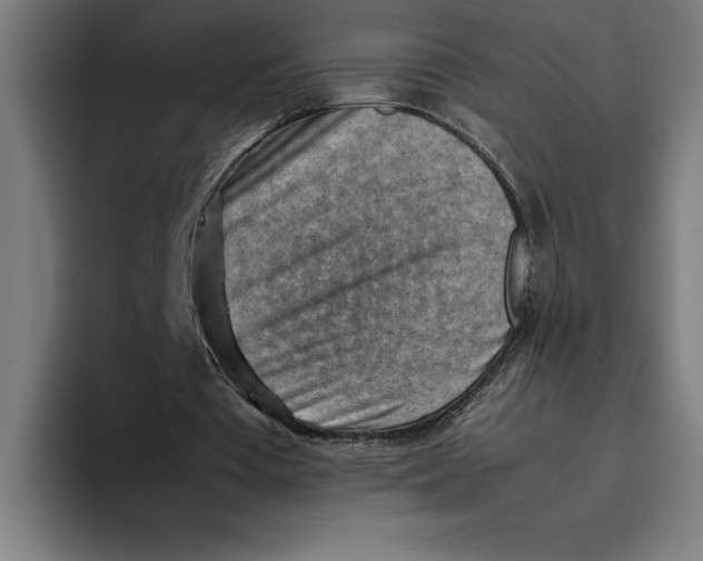 X0000094800385200712071210