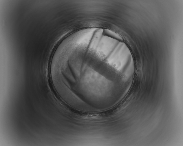 X0000094800386200712071210