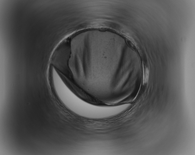 X0000094800387200712071210