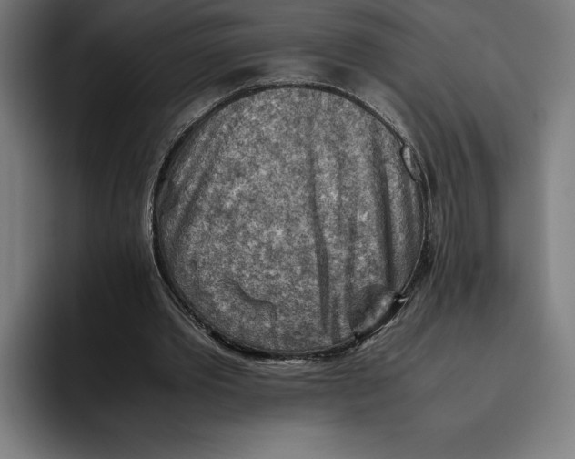 X0000094800389200712071209