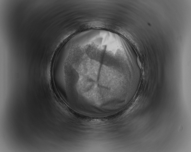 X0000094800390200712071209