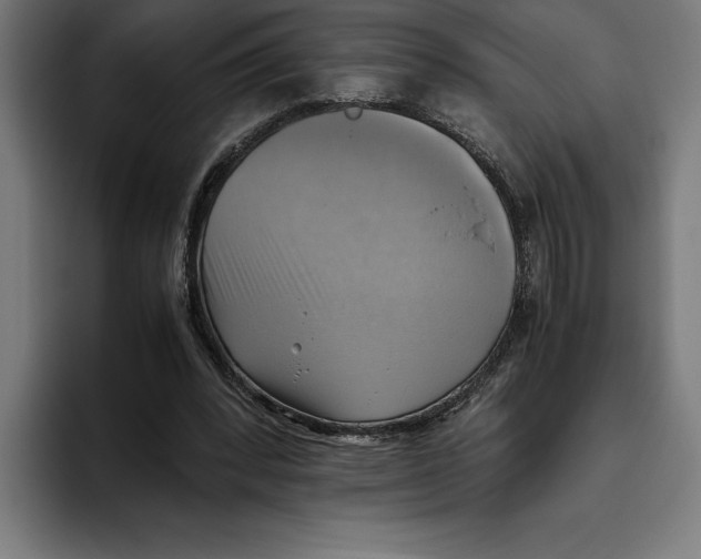 X0000094800392200712071209