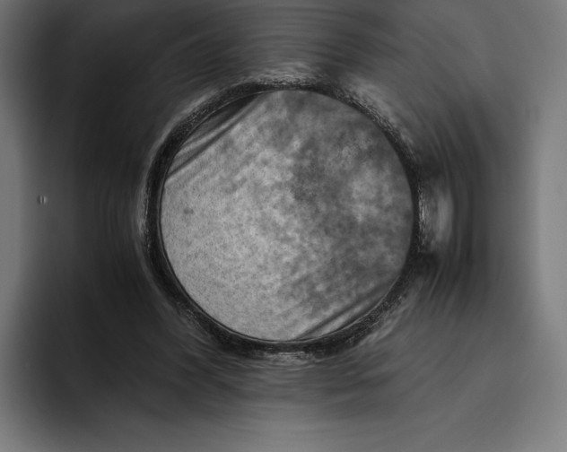 X0000094800396200712071209