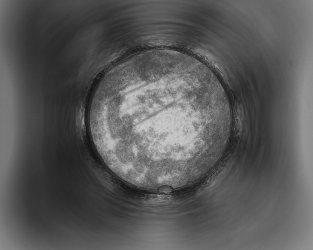 X0000094800398200712071209