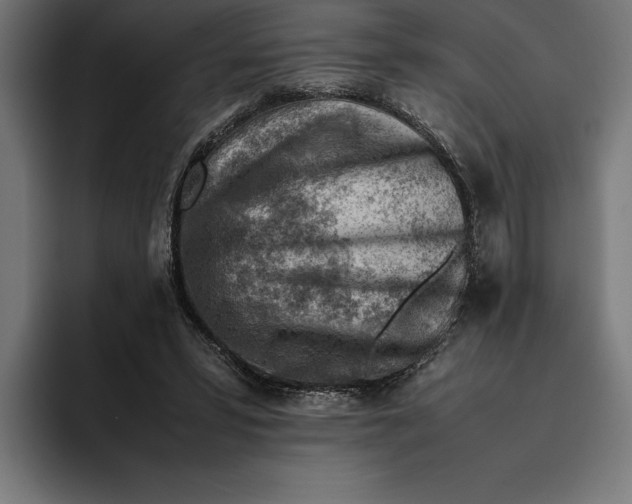 X0000094800399200712071209