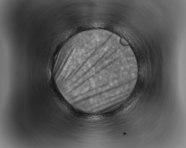 X0000094800402200712071209